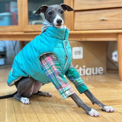 Winter Cotton Jacket for Italian Greyhounds & Whippets