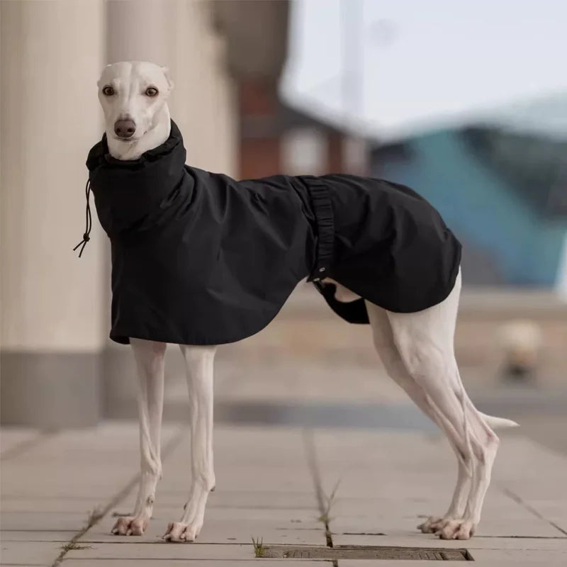 Black High-Neck Winter Jacket for Italian Greyhounds & Whippets